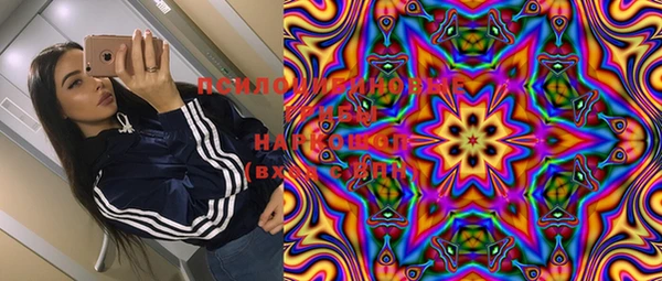 дживик Липки