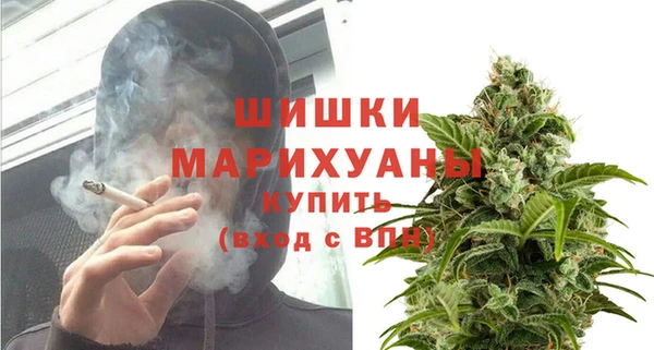 дживик Липки