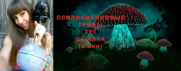 jwh Магас